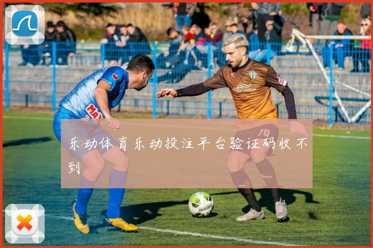 乐动体育乐动投注平台验证码收不到