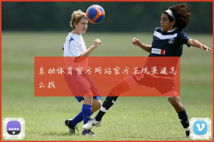乐动体育官方网站官方正规渠道怎么找