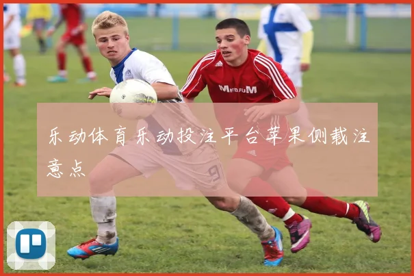 乐动体育乐动投注平台苹果侧载注意点