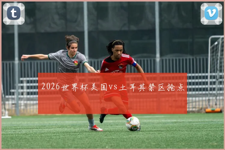 2026世界杯美国vs土耳其禁区抢点